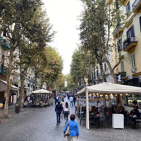 Alojamento de Acomodação e Pequeno-almoço Cilea14